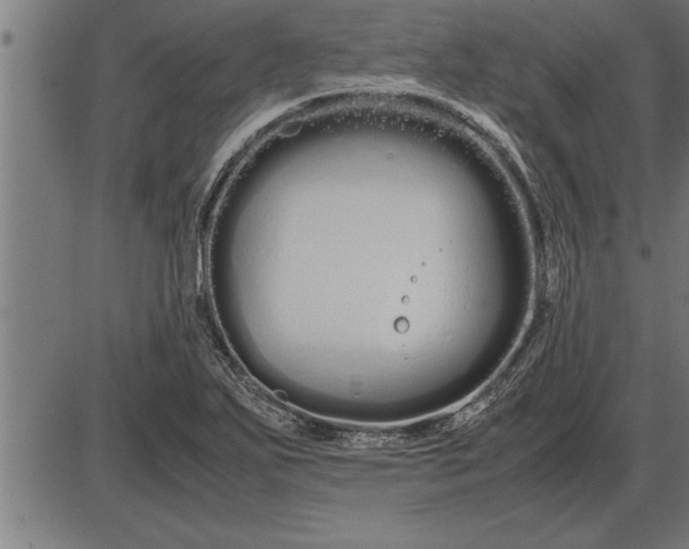 X0000086091271200704091317