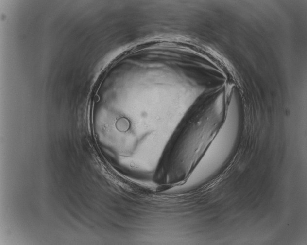 X0000086091272200704091317