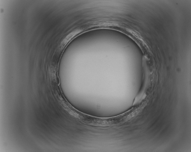 X0000086091273200704091317