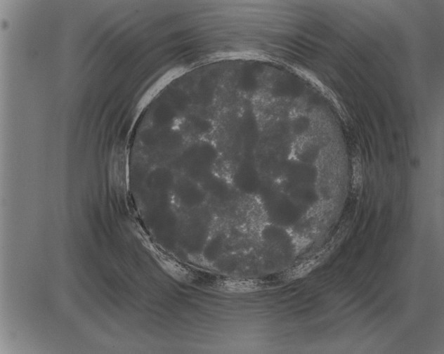 X0000086091274200704091317