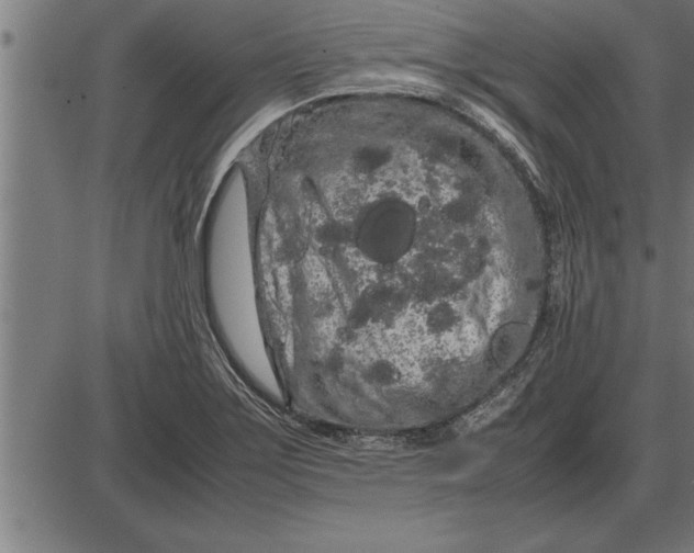 X0000086091275200704091317