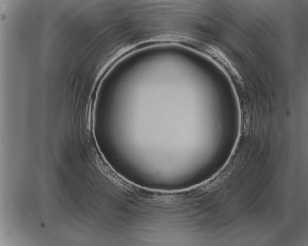 X0000086091276200704091317