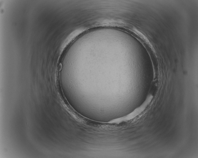 X0000086091277200704091317