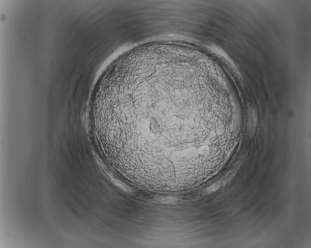 X0000086091278200704091317