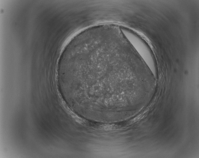 X0000086091279200704091317