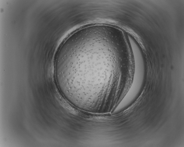 X0000086091280200704091317