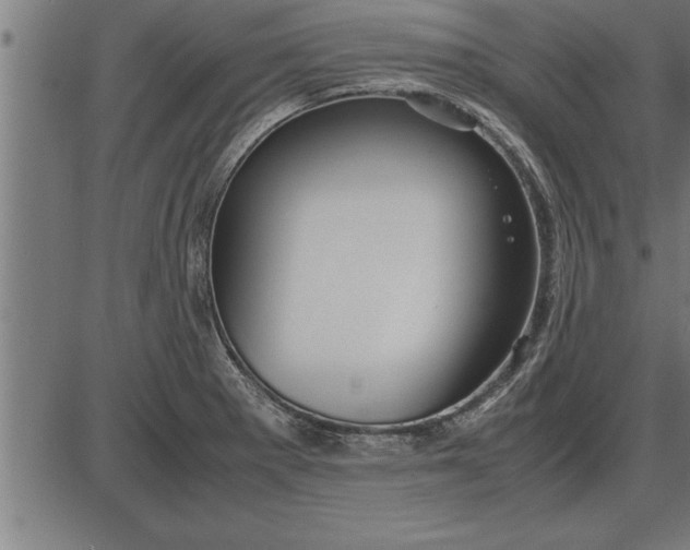 X0000086091281200704091317