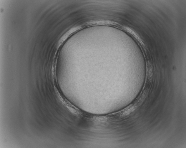 X0000086091282200704091317