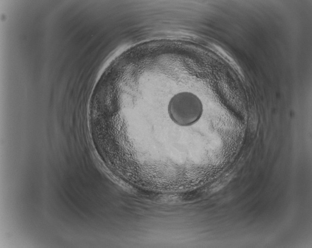 X0000086091283200704091317