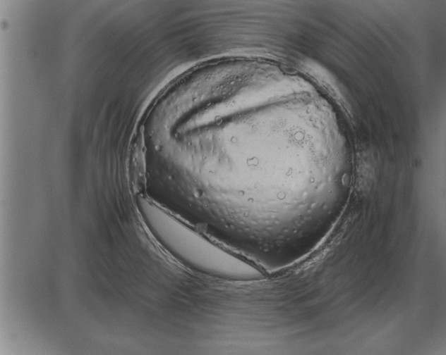 X0000086091284200704091317