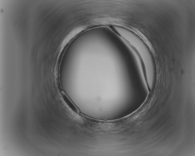 X0000086091285200704091317