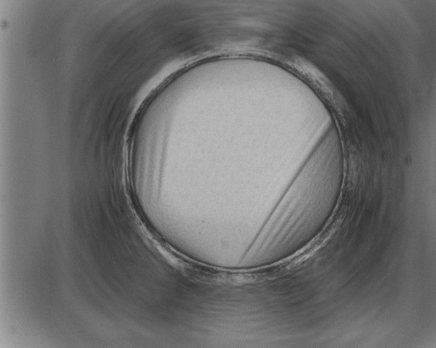 X0000086091286200704091317