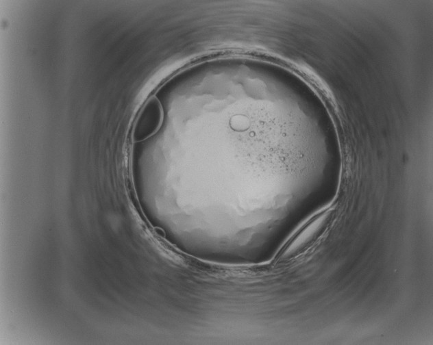 X0000086091287200704091317