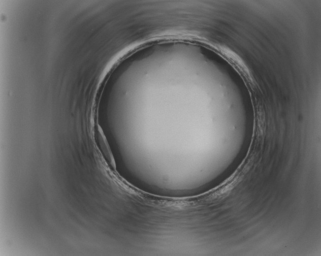 X0000086091288200704091317