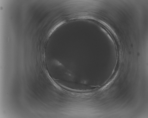 X0000086091289200704091317