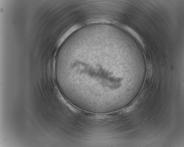 X0000086091290200704091317