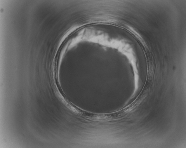 X0000086091291200704091317