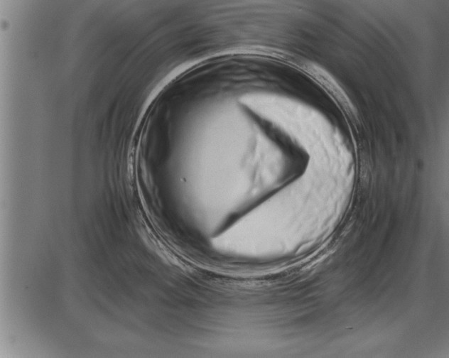 X0000086091292200704091317