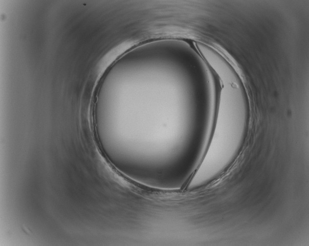 X0000086091293200704091317