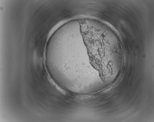 X0000086091294200704091317