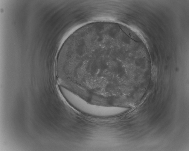 X0000086091295200704091317