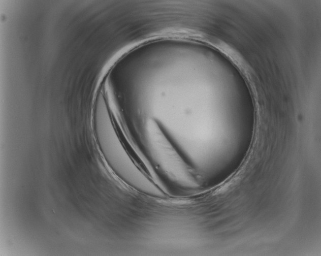 X0000086091296200704091317