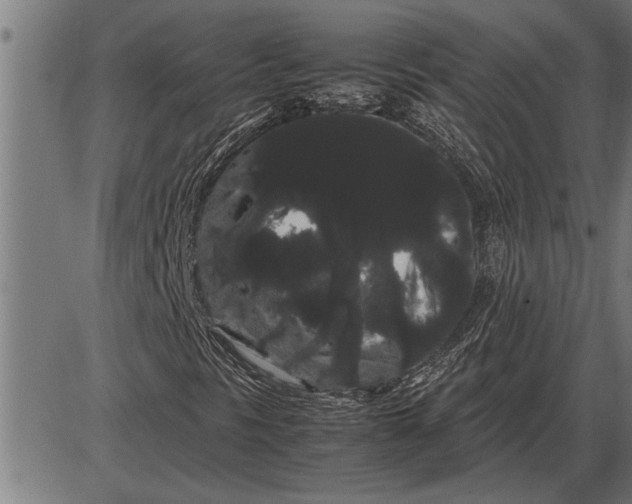 X0000086091297200704091316