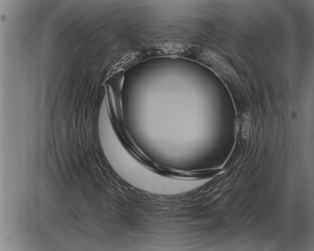 X0000086091298200704091316