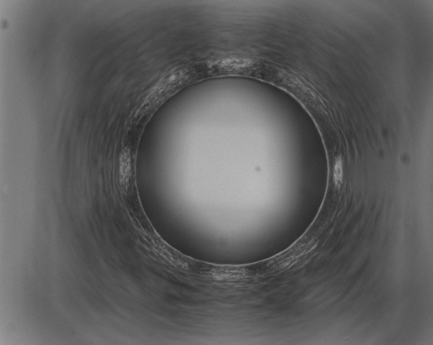 X0000086091299200704091316