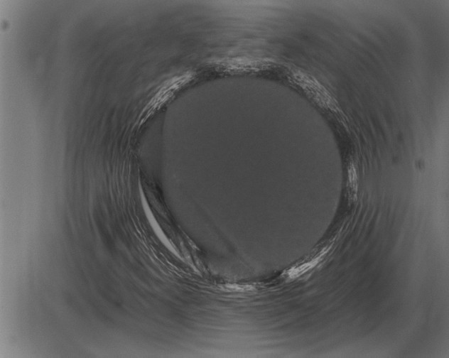 X0000086091300200704091316