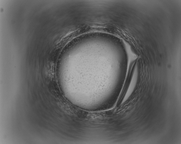 X0000086091301200704091316