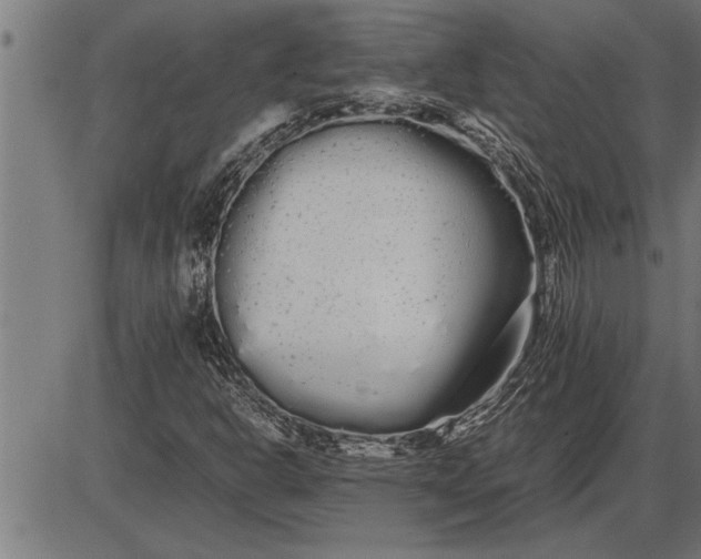 X0000086091302200704091316