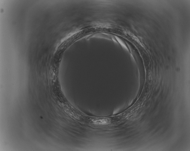 X0000086091303200704091316