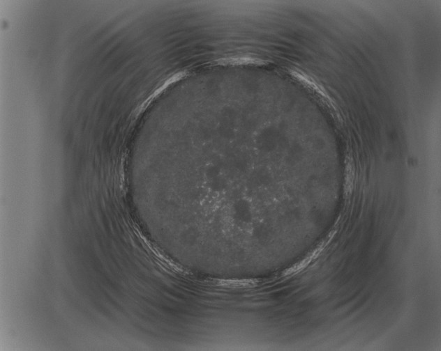 X0000086091305200704091316