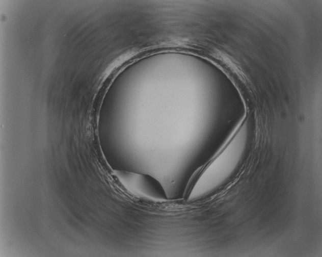 X0000086091308200704091316