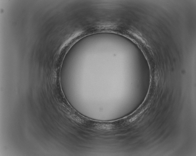 X0000086091309200704091316