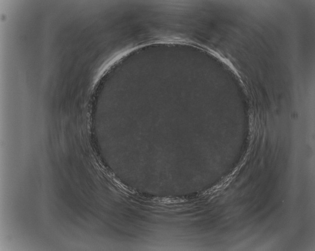 X0000086091311200704091316