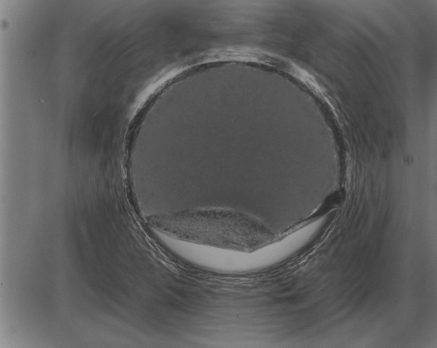 X0000086091312200704091316