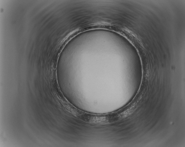 X0000086091313200704091316