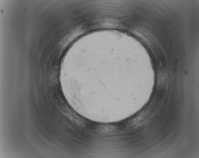 X0000086091314200704091316