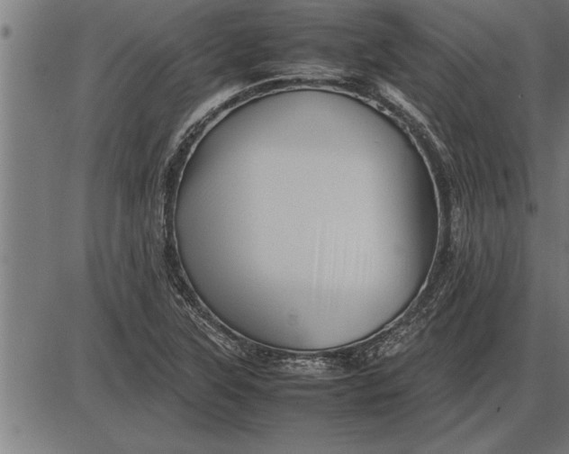 X0000086091315200704091316