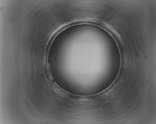 X0000086091316200704091316