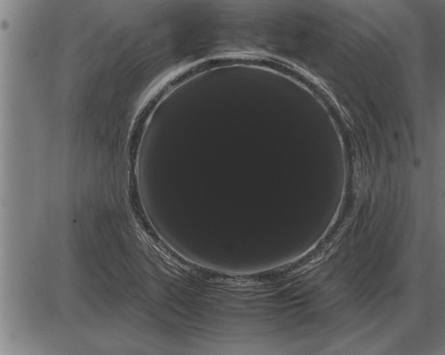 X0000086091319200704091316