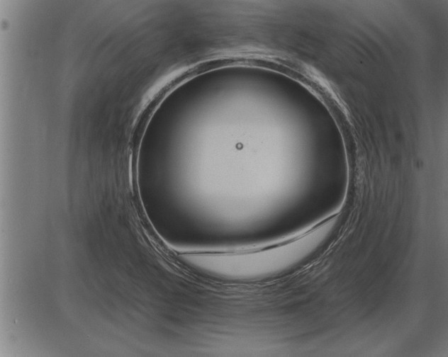 X0000086091320200704091316