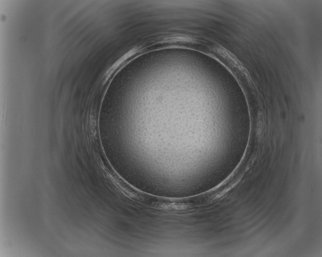 X0000086091321200704091316