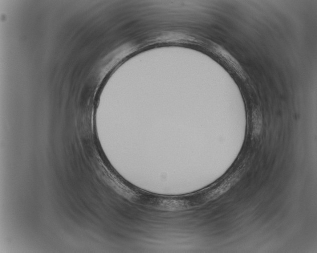 X0000086091322200704091316