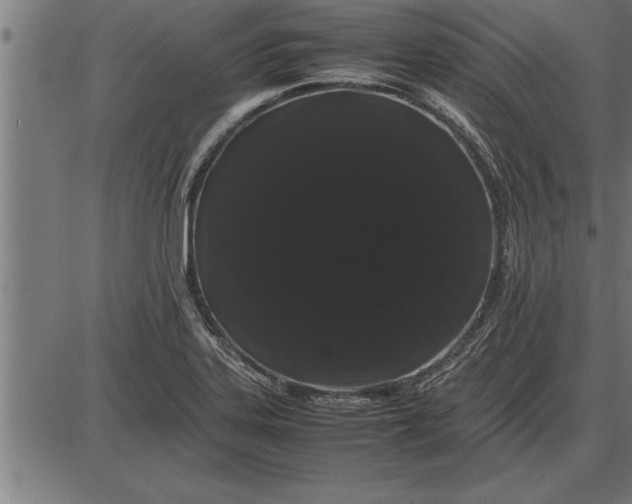 X0000086091323200704091316