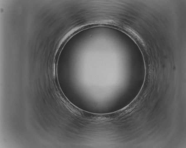 X0000086091324200704091317