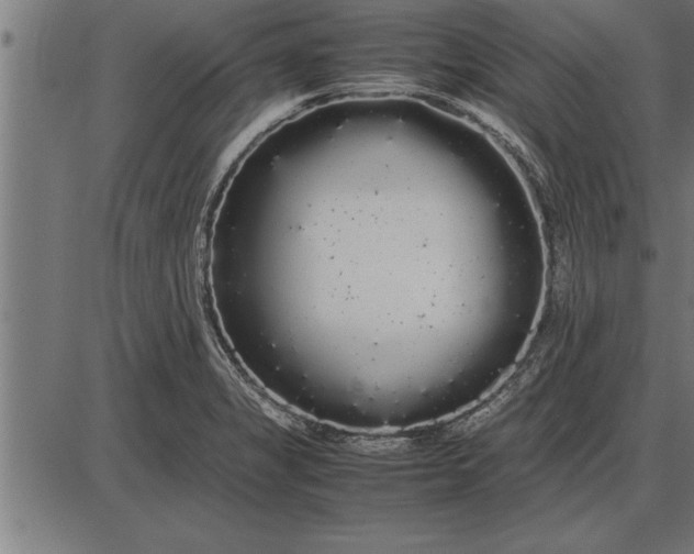 X0000086091325200704091317