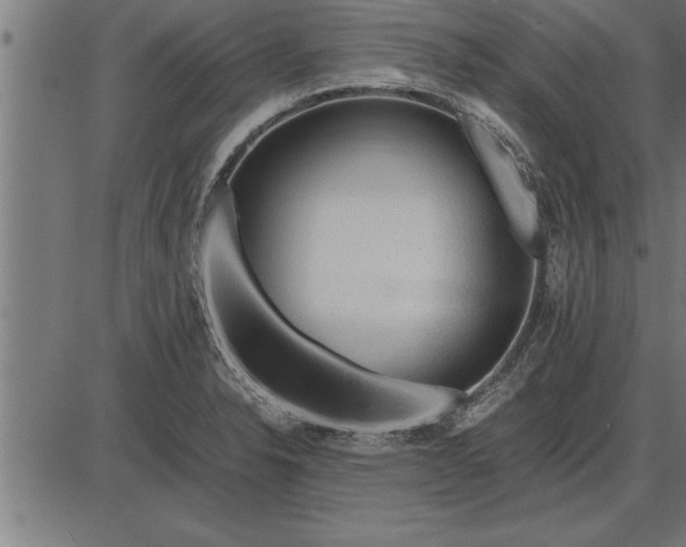 X0000086091326200704091317